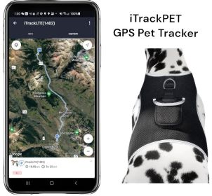 Get Realtime Pet Locations w/ Pet Tracker Mini Cat Dog GPS Tracking Collar Size:S Get Realtime Pet Locations w/ Pet Tracker Mini Cat Dog GPS Tracking Collar Size:S